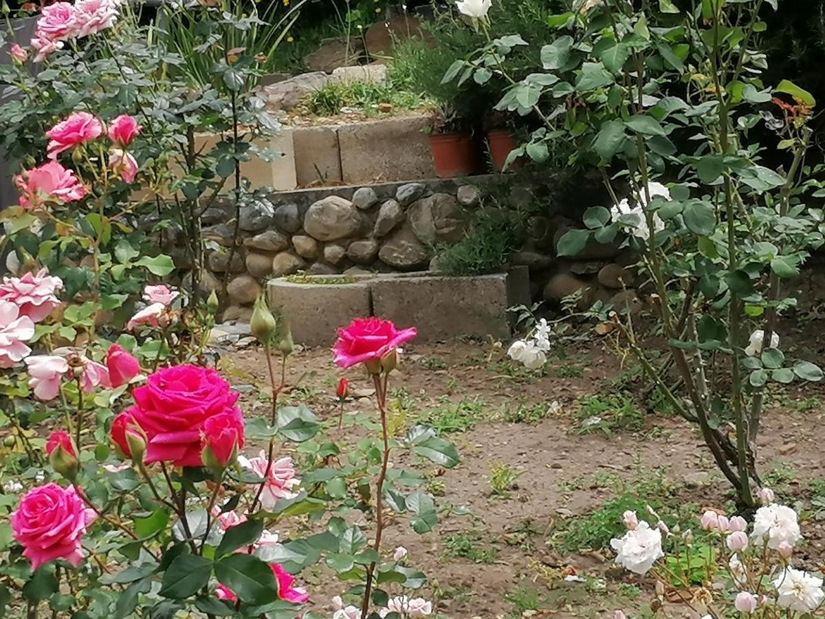 סוולנדאם Aanhuizen Guest House מראה חיצוני תמונה