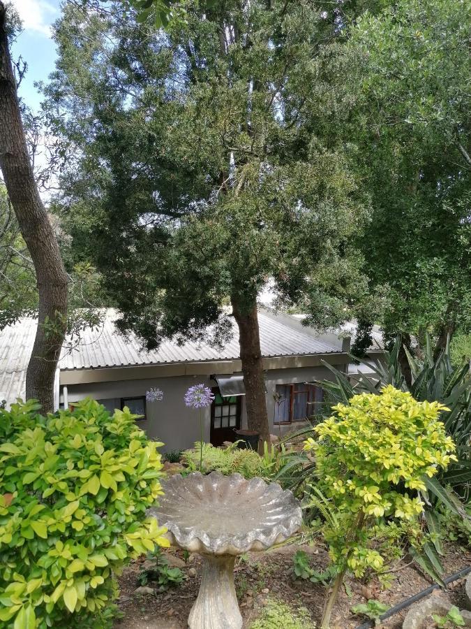 סוולנדאם Aanhuizen Guest House מראה חיצוני תמונה